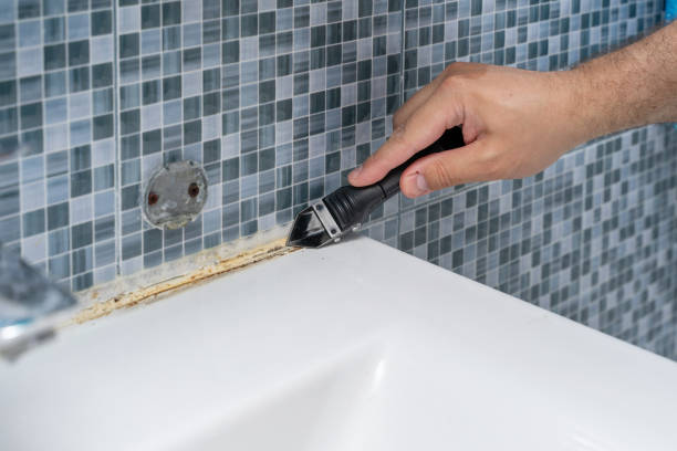 Best Toxic Mold Removal  in Hodgenville, KY