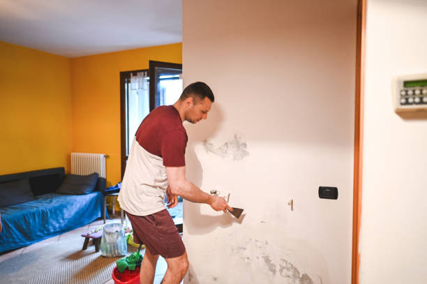 Best Mold Removal Near Me  in Hodgenville, KY